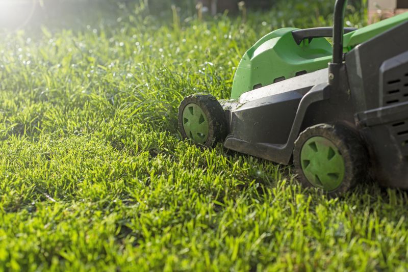 Grass Mowing in Bowie, MD