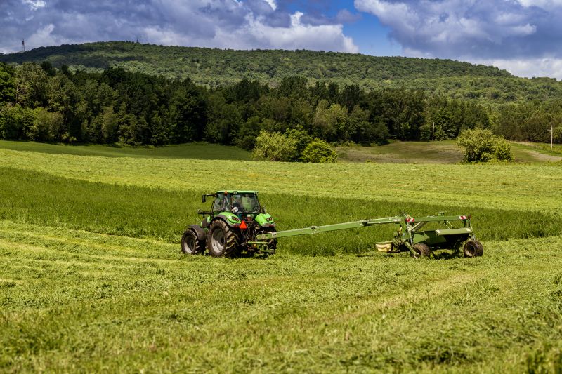 Brush Mowing Service in Waldorf, MD