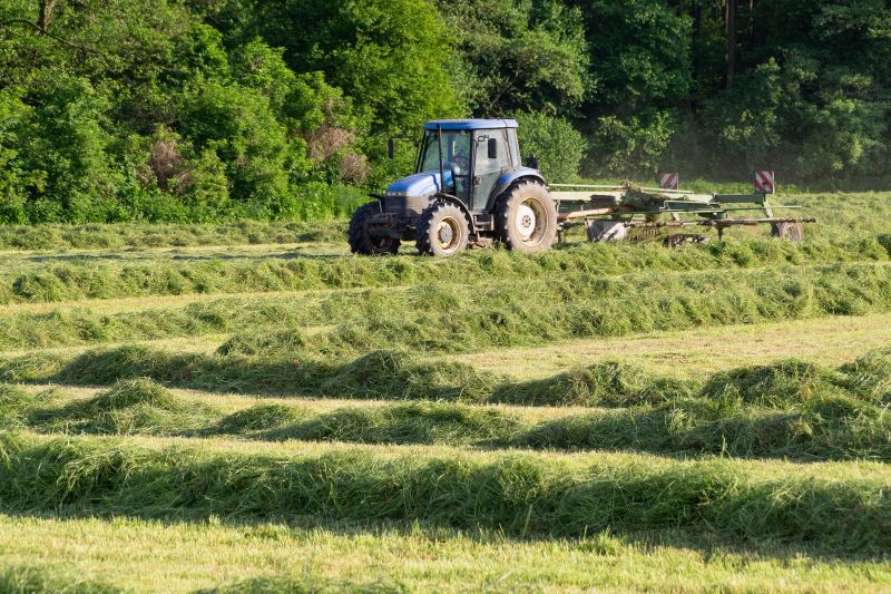 Bush Hogging Service in Waldorf, MD