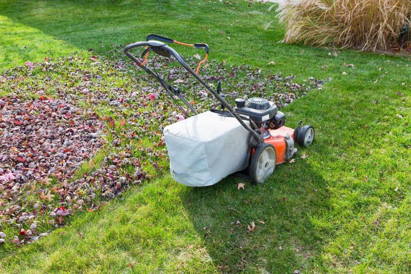 Fall Lawn Care in Bowie, MD