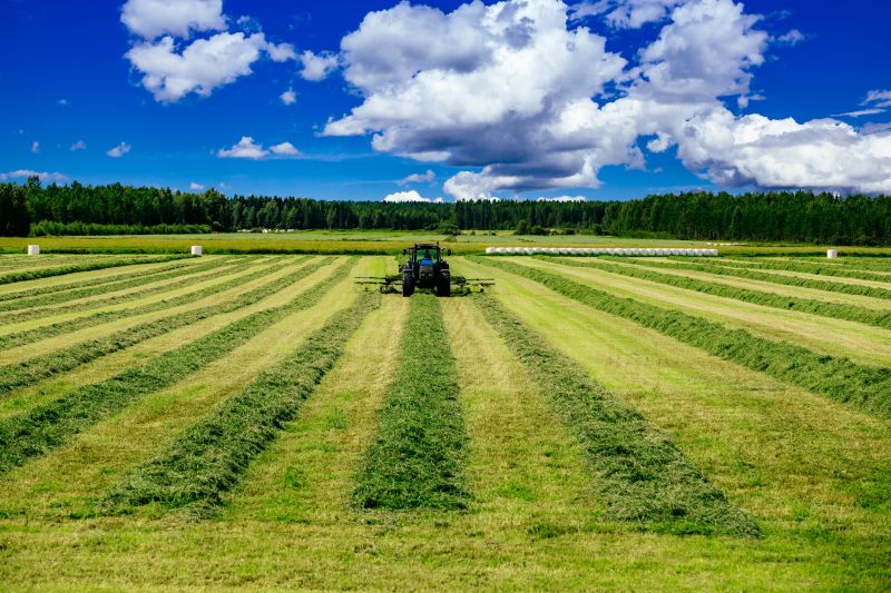 Field Mowing in Waldorf, MD