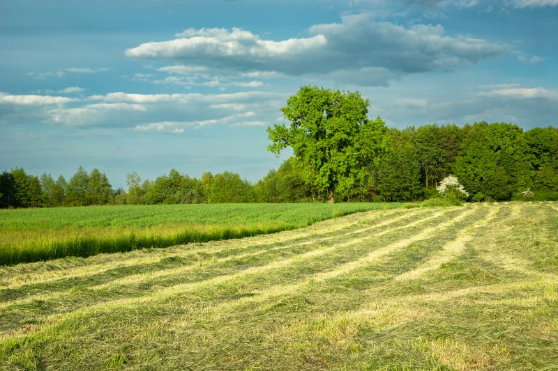 Field Mowing in Prince Georges County, MD