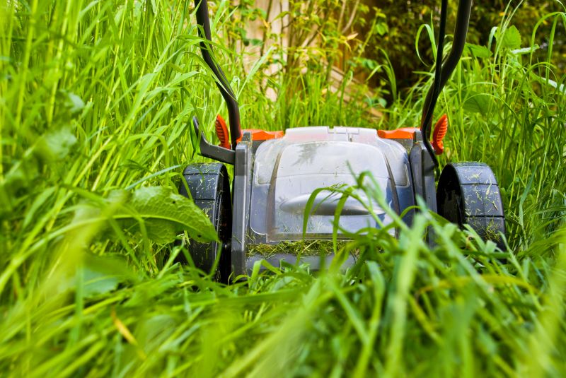 Lawn Cutting Service in Bowie, MD
