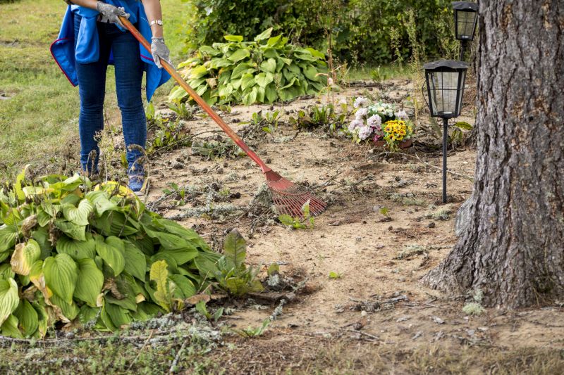 Clearing Dense Vegetation