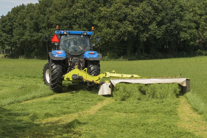 Pasture Mowing in Duluth, MN