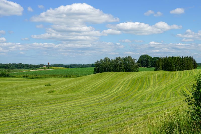 Pasture Mowing in Prince Georges County, MD