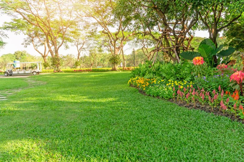 Spring Lawn Care in Bowie, MD