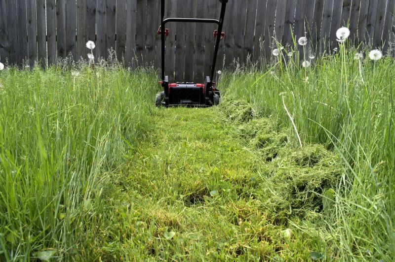 Vacant Lot Mowing in Calvert County, MD