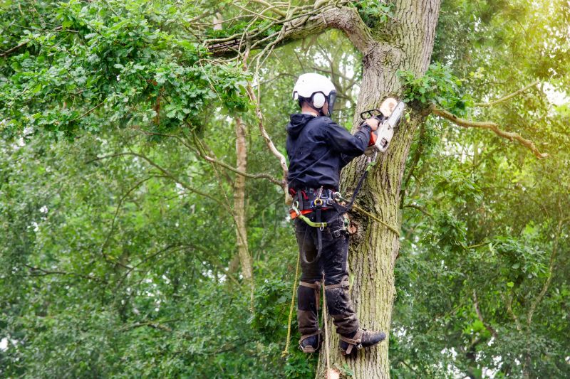 Arborists and Tree Care Specialists